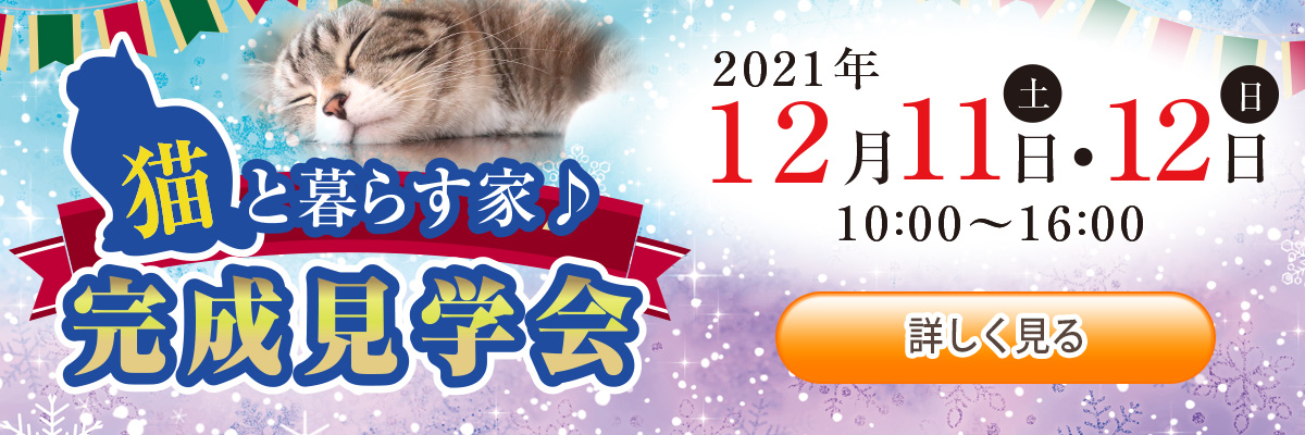 猫と暮らす家　完成見学会　2021年12月11日（土）・12日（月）10:00～16:00　詳しく見る