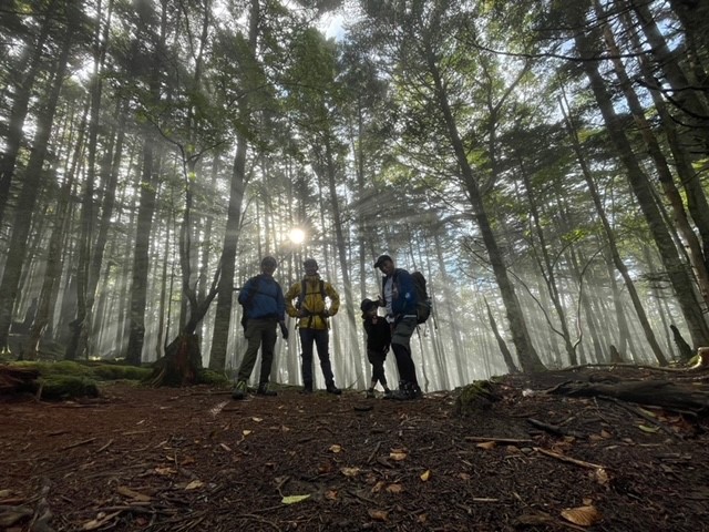 自然　木　森林　登山　金峰山　自然素材　danhaus　癒し　