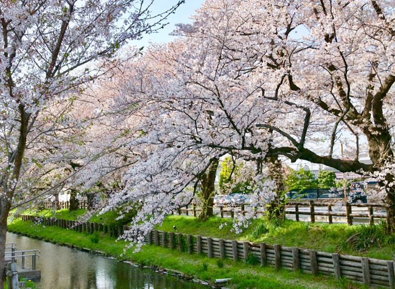 川越市の土地探しをスムーズに進めるためのチェックポイント